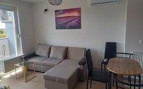 Apartment Rosa